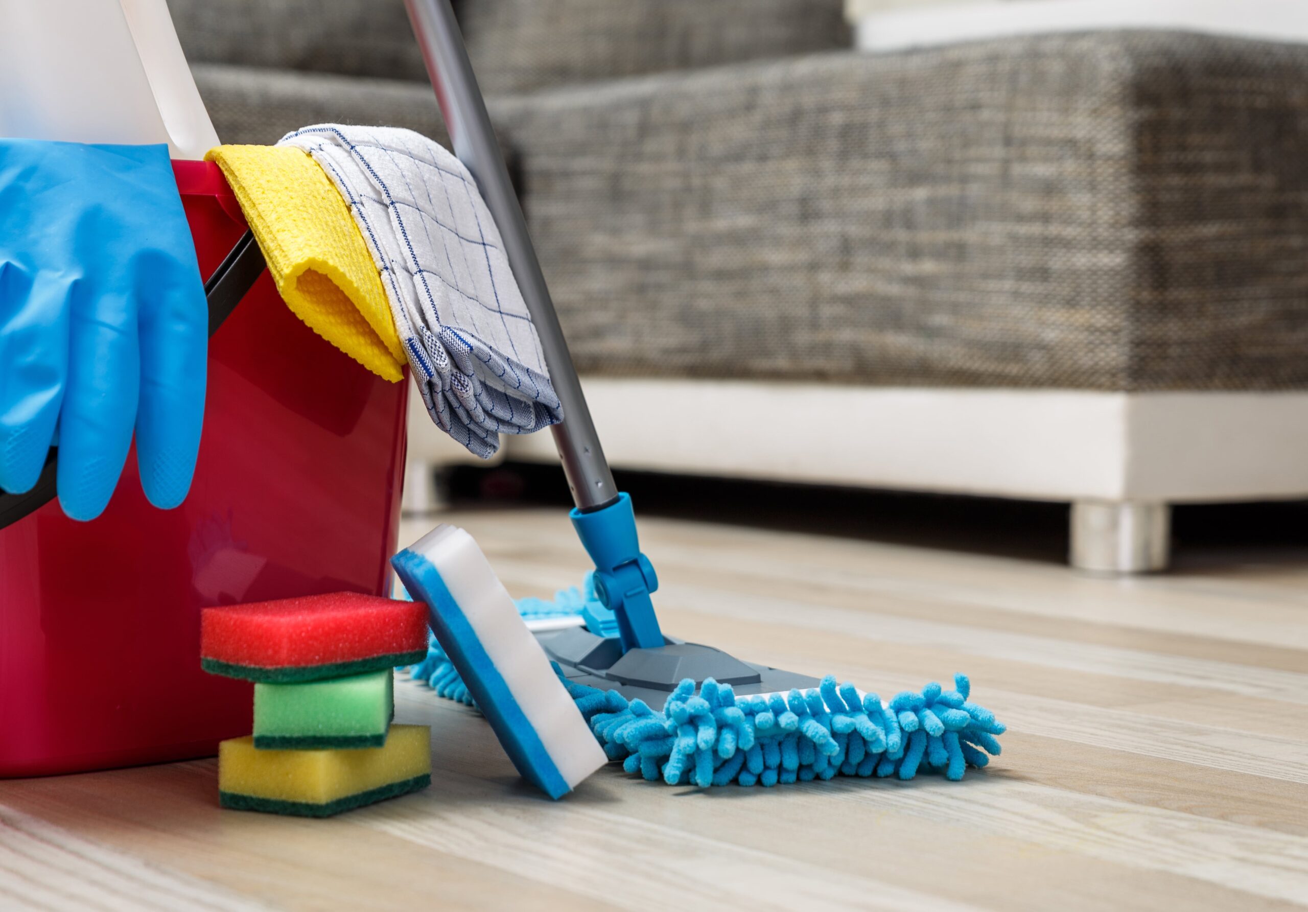 Professional Carpet and Furniture Cleaning Services