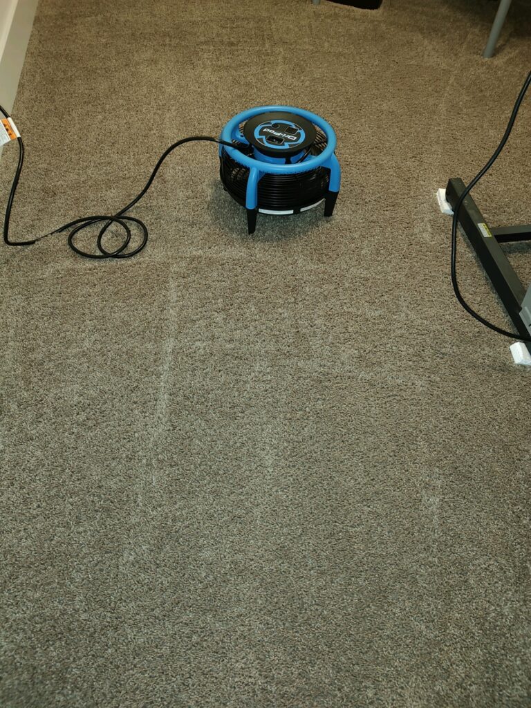 Carpet Cleaning Tool