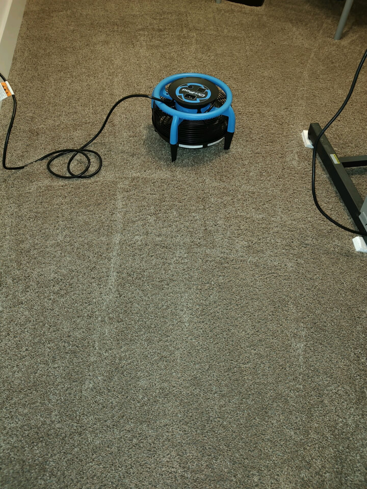 Carpet Cleaning Professional 