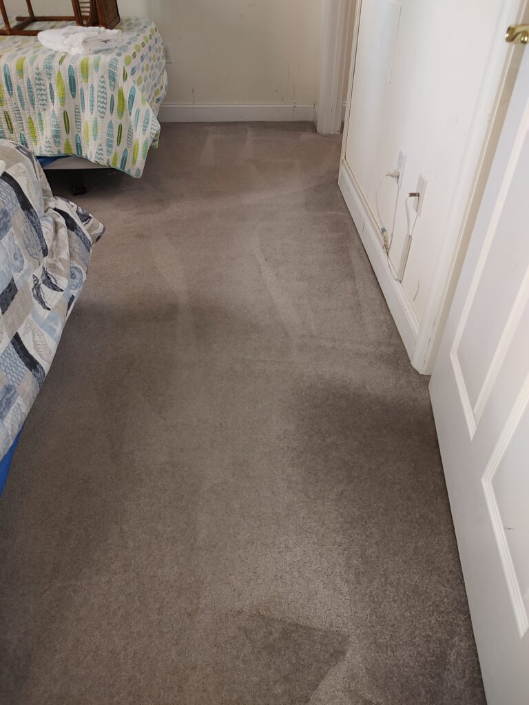 Professional Carpet Cleaning Services