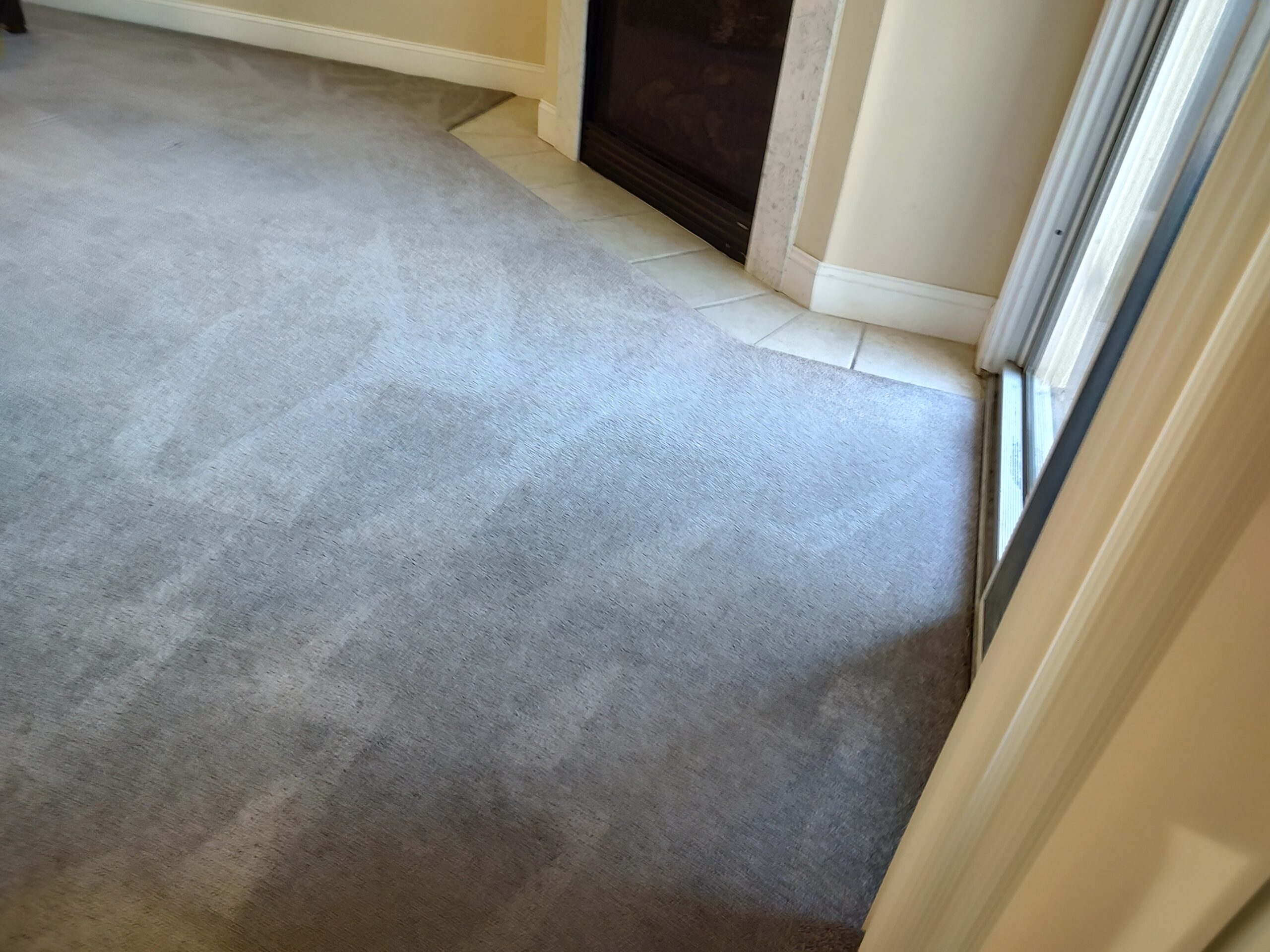 Professional Carpet Cleaning Service 