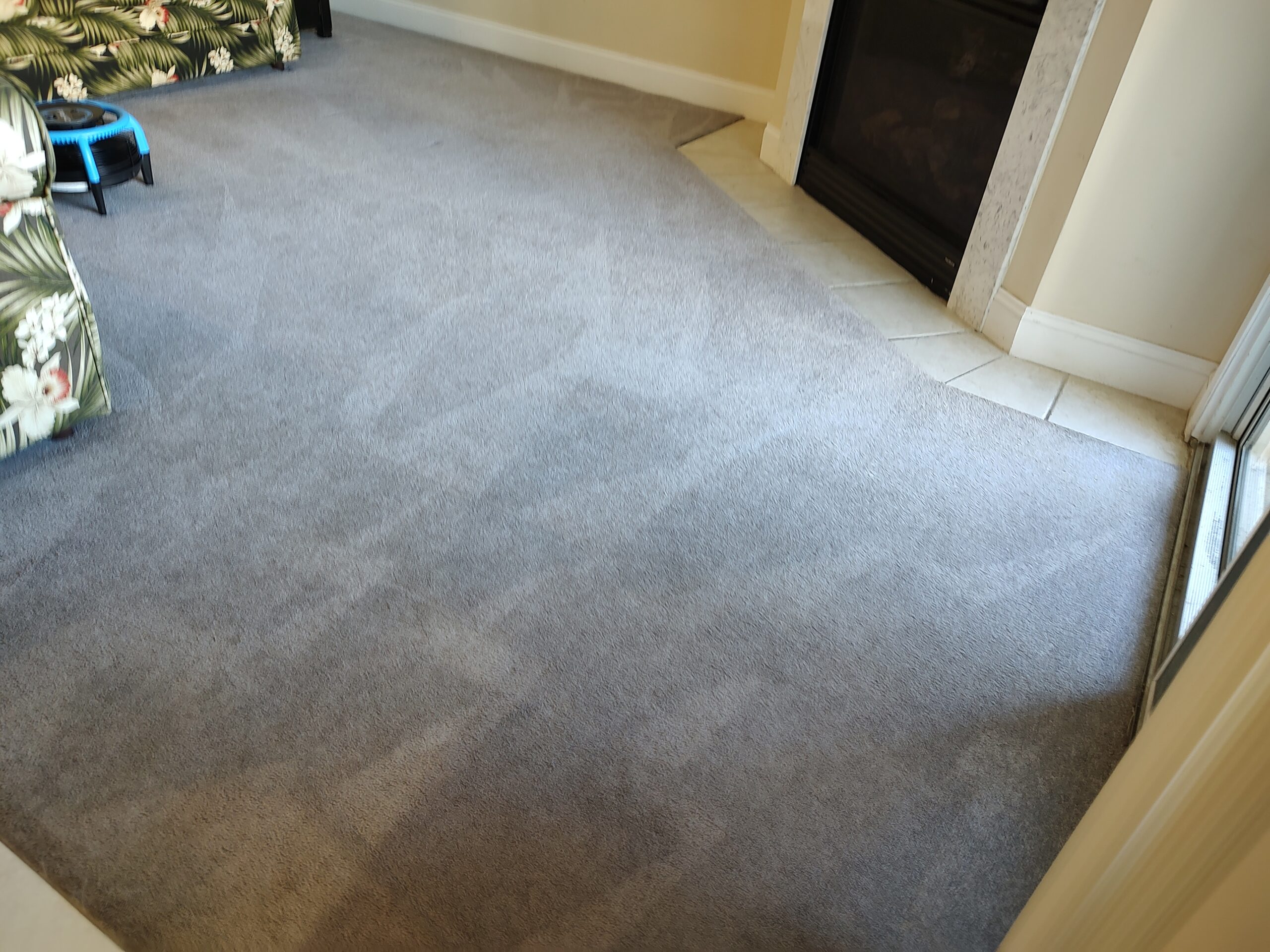 Carpets Cleaned Professionally