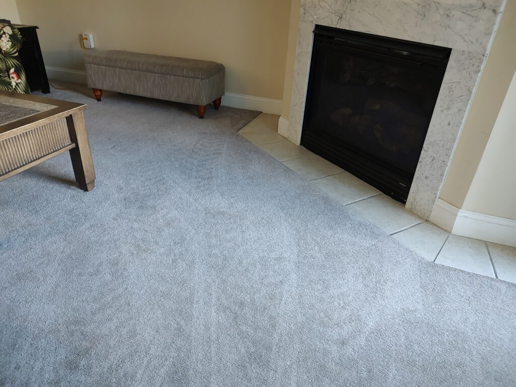 Area Rug Cleaning Cost